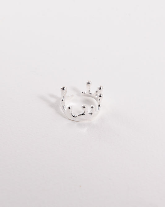 Droplet Ring
