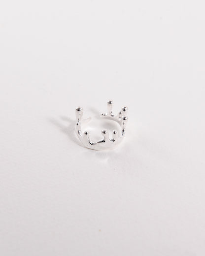 Droplet Ring