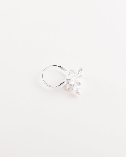 Iris Ring